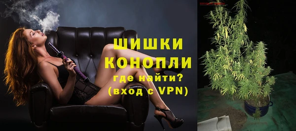 мдпв Волоколамск