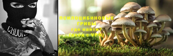 MESCALINE Волосово