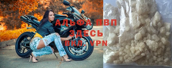 тгк Володарск