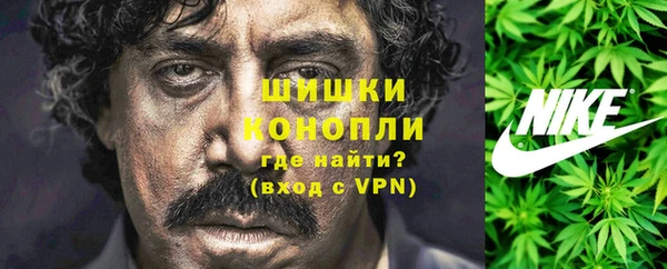 мдпв Волоколамск