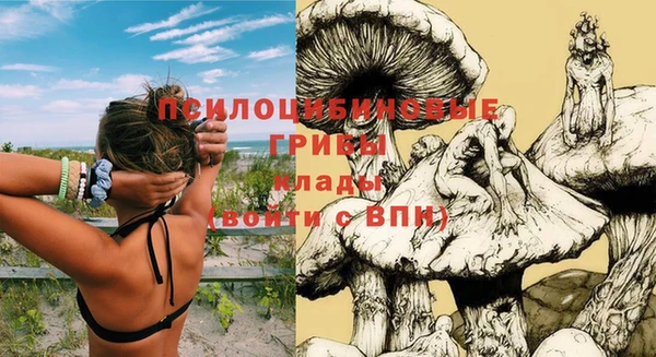 тгк Володарск