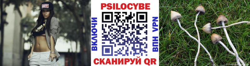 Псилоцибиновые грибы GOLDEN TEACHER  hydra зеркало  Астрахань  даркнет сайт 