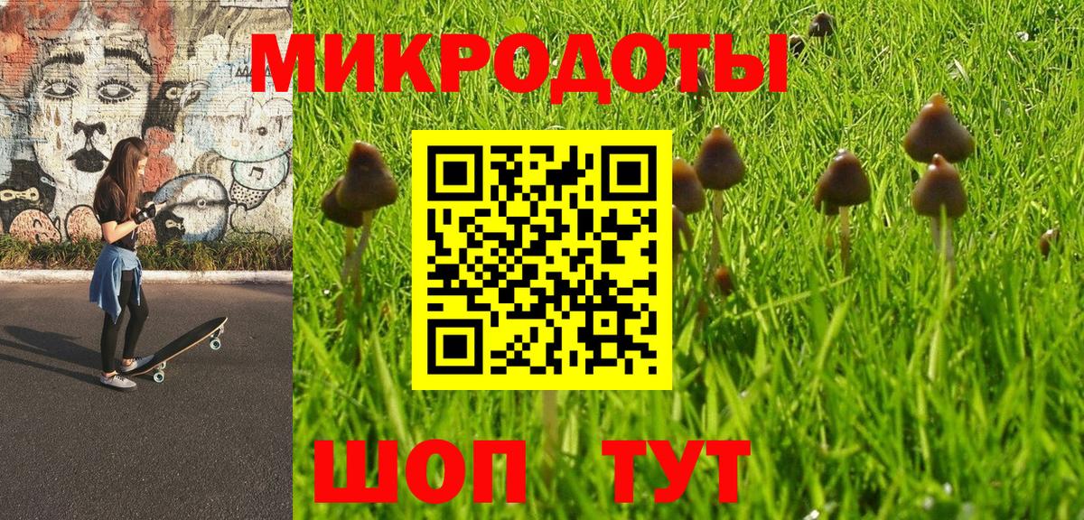 что такое наркотик  Астрахань  Псилоцибиновые грибы Cubensis 